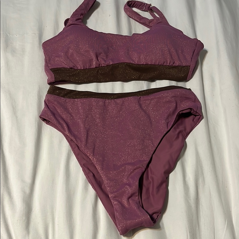 Purple and Brown Bikini Set
